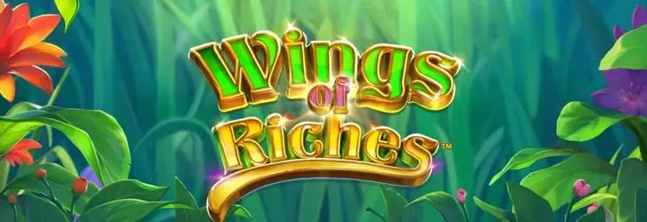 Wings of Riches